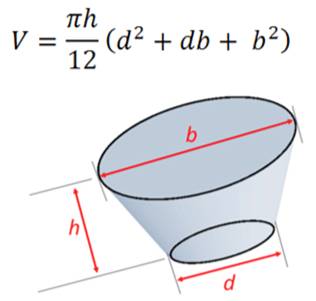 Figure 1A Cone